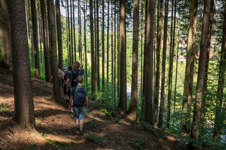 V lese při cestě na Dolní Moravu s Diti (Ústí nad Orlicí, červen 2024)