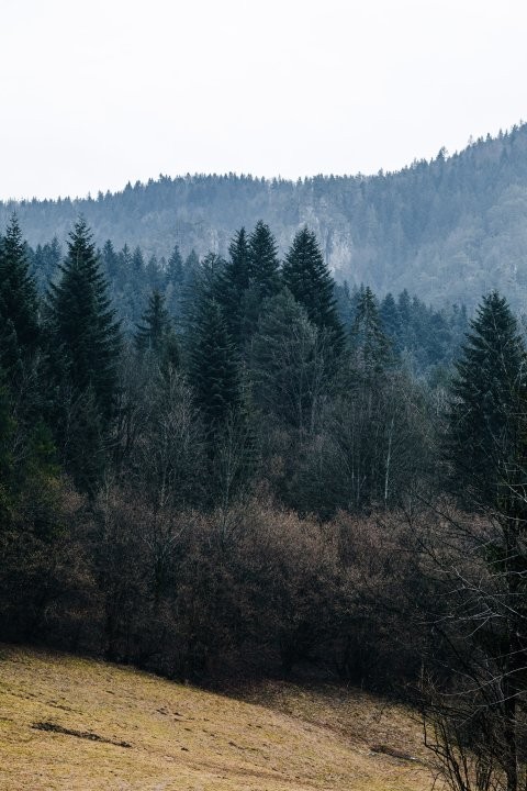 Pravidlo třetin (Slovensko, únor 2024)